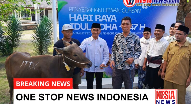 foto slider headline