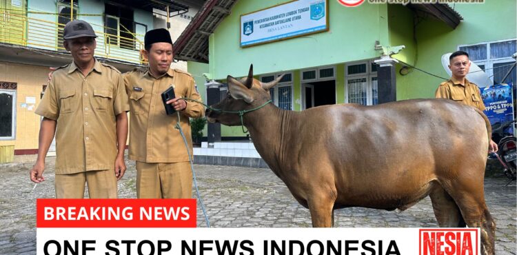 headline-foto