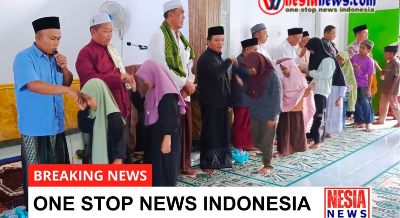 foto slider headline
