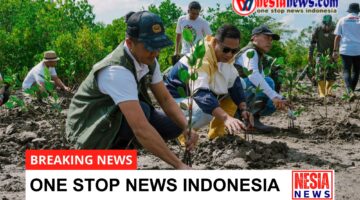 InJourney Perkuat  Pengembangan Mangrove Sanctuary di kawasan The Mandalika