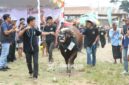 Gambar: Diskominfo Lombok Tengah