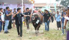 Gambar: Diskominfo Lombok Tengah