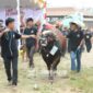 Gambar: Diskominfo Lombok Tengah
